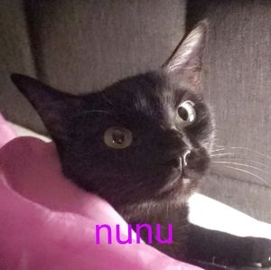 Meet your Posher, Maryjane